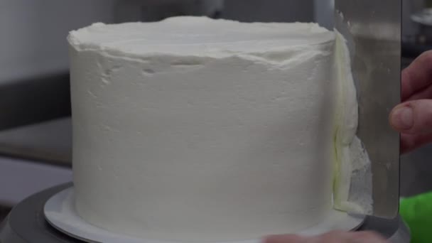 Pasta Tasarımcısı Çilek Kremayla Doldurulmuş Uzun Katmanlı Pasta Hazırlıyor Dekorasyonundan — Stok video