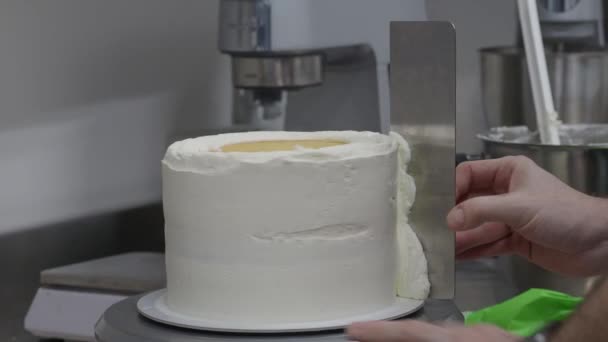 Chef Pastry Designer Confectioning Frosted Tall Layered Cake Stuffed Strawberries — Stockvideo