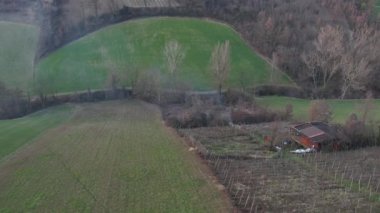 Çiftçi şarap kolundaki sarmaşıkları budadıktan sonra dalları yakıyor. Gün batımında vadide büyük ateş ve dumanı önemseyen adam..