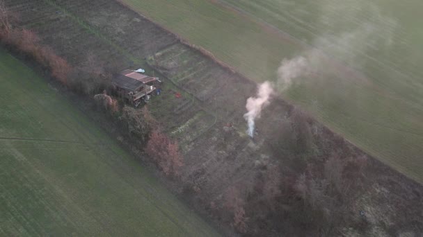 Farmer Burning Branches Pruning Vines Winefarm Man Caring Big Fire — Stockvideo
