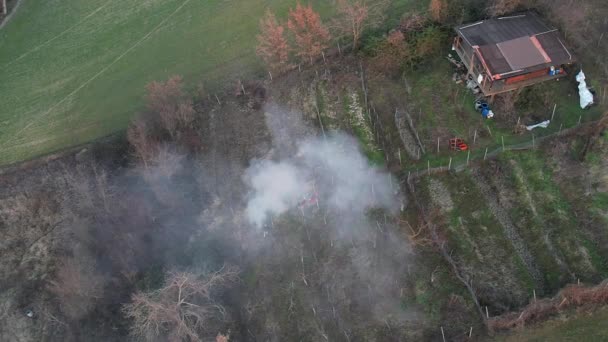 Farmer Burning Branches Pruning Vines Winefarm Man Caring Big Fire — Stok video