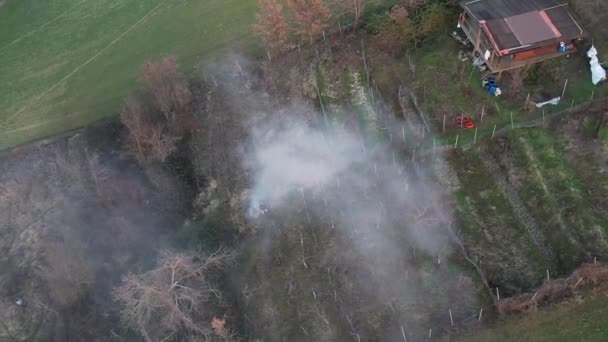Farmer Burning Branches Pruning Vines Winefarm Man Caring Big Fire — 图库视频影像