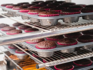 Pasta şefi büyük bir grup koyu kırmızı kadife çikolatalı kek pişiriyor profesyonel havalandırmalı fırında kekler, catering şirketinde küçük zanaatkar üretimi