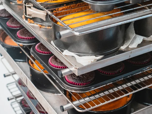 Pasta şefi büyük bir grup koyu kırmızı kadife çikolatalı kek ve turta kabuğunu profesyonel havalandırmalı fırında pişiriyor.