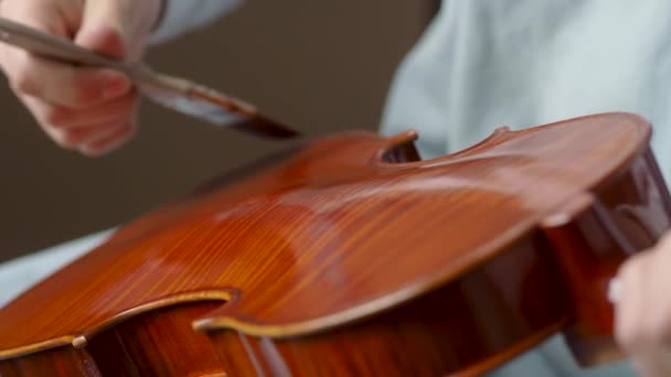 バイオリンメーカーの職人は 自作の塗料で変形し 手作りの古典的なバイオリンへの最終的なブラシストローク4Kの映像 — ストック動画