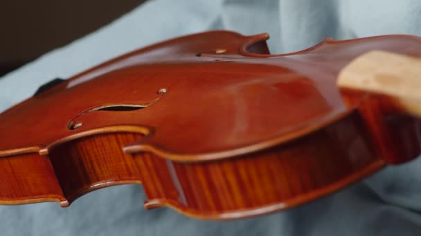 Violinmakare Hantverkare Lackering Med Egenproducerad Färg Slutliga Penseldrag Till Handgjord — Stockvideo