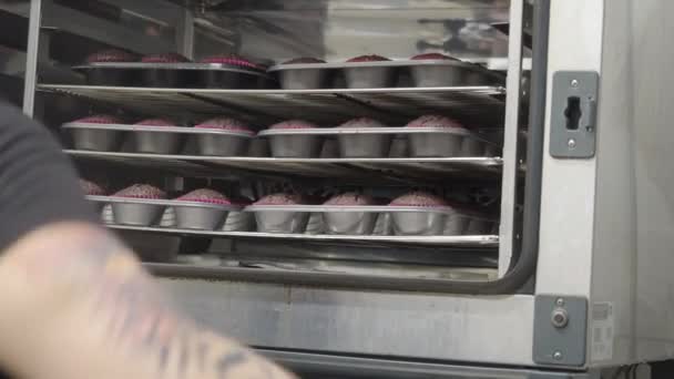 Chef Pastelaria Assar Grande Grupo Muffin Chocolate Escuro Várias Bandejas — Vídeo de Stock