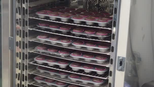 제빵사가 전문적으로 필름으로 트레이에 초콜릿 머핀을 대량으로 — 비디오