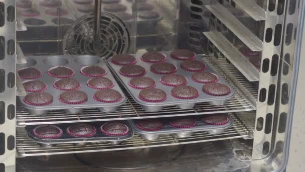Konditor Backt Eine Große Gruppe Dunkler Schokoladenmuffins Auf Mehreren Blechen — Stockvideo