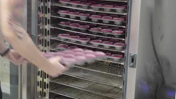 제빵사가 전문적으로 필름으로 트레이에 초콜릿 머핀을 대량으로 — 비디오