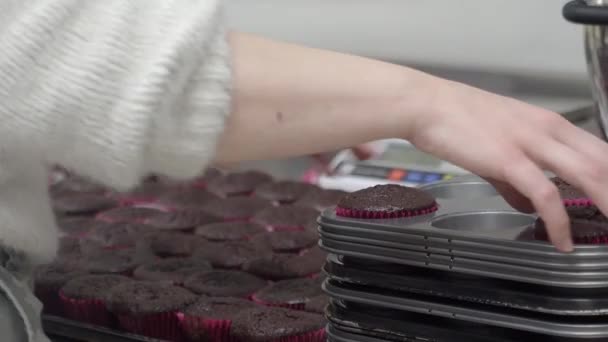 Pâtissier Cuisinier Faisant Cuire Grand Groupe Cupcakes Remplis Velours Rouge — Video