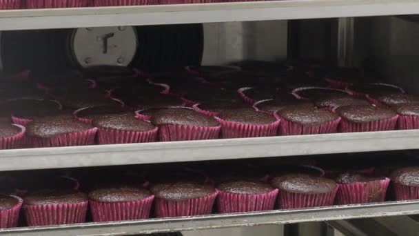 糕点厨师在专业的通风烤箱中烘焙大量的黑巧克力红色天鹅绒纸杯蛋糕 — 图库视频影像