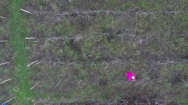 在寒冷季节4K镜头中 老高加索留胡子农民在山谷的酿酒厂手工修剪葡萄的无人驾驶航空图像 — 图库视频影像