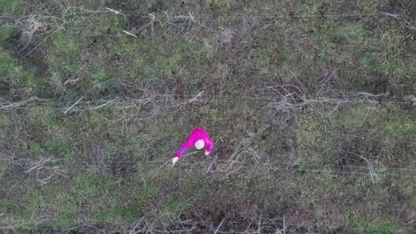 Drone Luchtfoto Van Oude Kaukasische Baard Boer Snoeien Druiven Met — Stockvideo