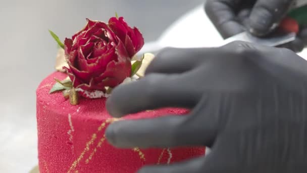 Szef Kuchni Topopping Czerwony Aksamitny Airbrush Malowane Mrożone Ciasto Lukier — Wideo stockowe
