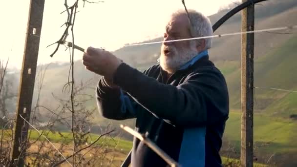 Kaukasischer Senior Bauer Der Der Kalten Jahreszeit Tal Bei Sonnenuntergang — Stockvideo