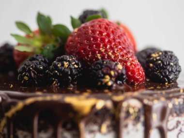 Stüdyo çikolatalı kremalı kek, tatlı meyve soslu ve altın fırça darbeleriyle.