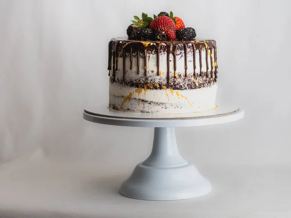 工作室拍摄的巧克力糖霜滴冰杯蛋糕 配以甜果皮和金刷笔触 — 图库照片
