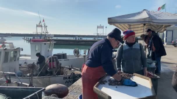 Numana Italien April 2023 Fiskare Säljer Havssniglar Från Adriatiska Havet — Stockvideo