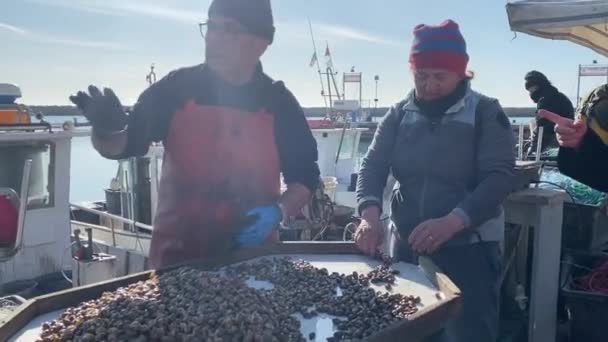 Numana Italia Abril 2023 Pescadores Que Venden Caracoles Marinos Mar — Vídeos de Stock