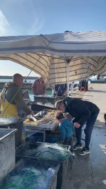 Numana Ιταλία Απριλίου 2023 Ψαράδες Που Πωλούν Φρέσκα Ψάρια Από — Αρχείο Βίντεο