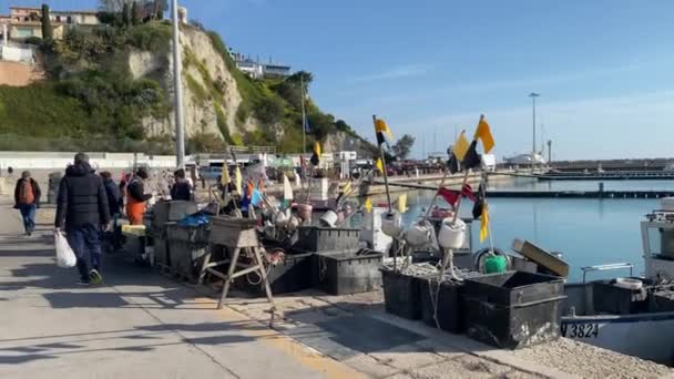 Numana Italia Abril 2023 Pescadores Que Venden Pescado Fresco Mar — Vídeos de Stock