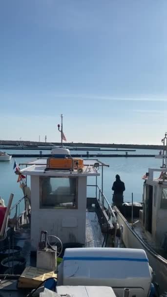 Numana Italia Abril 2023 Pescadores Que Venden Pescado Fresco Mar — Vídeo de stock