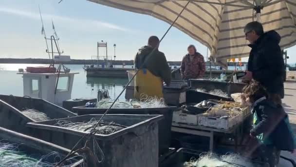 意大利努曼 2023年4月7日清晨 在港口码头市场上出售淡水鱼的渔民 — 图库视频影像