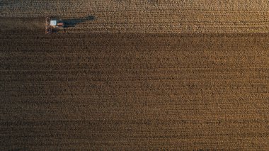 Sürüngen traktörü kullanan çiftçi, geride bir toz bulutunu sürüklüyor, sürme, güç sarsıcı yüzey kabuğu kırılması, bitkilerin kuru toprak üzerinde doğmasını ve tohumlanmasını kolaylaştırıyor.