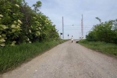 Kırsal alanlarla bitki örtüsü arasındaki demiryolu yakınında, kırsalda yürüyen bir kadın ve köpeğin insansız hava aracı görüntüsü.
