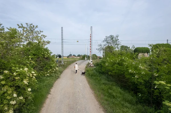 Drohnenaufnahmen Einer Frau Und Eines Hundes Beim Spazierengehen Auf Dem — Stockfoto