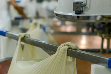 Bakır kazanlara organik süt dökülüp ısıtılarak geleneksel İtalyan tarifi olarak satranç tesisinde parmesanlı reggiano peyniri yapılır.