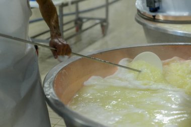 Bakır kazanlara organik süt dökülüp ısıtılarak geleneksel İtalyan tarifi olarak satranç tesisinde parmesanlı reggiano peyniri yapılır.
