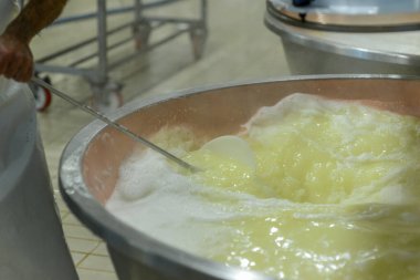 Bakır kazanlara organik süt dökülüp ısıtılarak geleneksel İtalyan tarifi olarak satranç tesisinde parmesanlı reggiano peyniri yapılır.