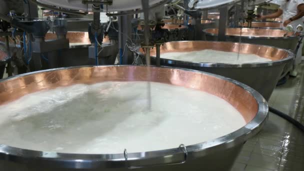 Formaggio Parmigiano Che Cucina Latte Biologico Siero Latte Caglio Calderoni — Video Stock
