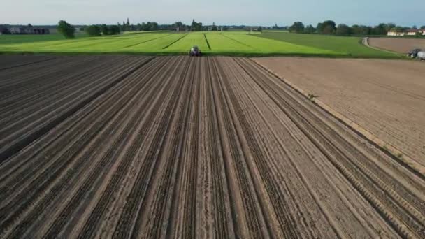 Letecké Záběry Zemědělců Zemědělských Pracovníků Traktoru Poloautomatickém Výsadbě Rajčat Orané — Stock video