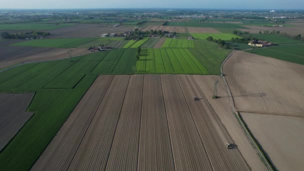 Légi Felvétel Mezőgazdasági Termelőkről Mezőgazdasági Munkásokról Traktorokban Félautomata Ültetvényeken Paradicsomnövényeket — Stock videók