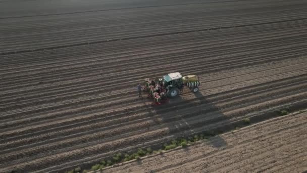 Повітряні Кадри Фермерів Сільськогосподарських Робітників Тракторі Напів Автоматичних Плантаторах Які — стокове відео