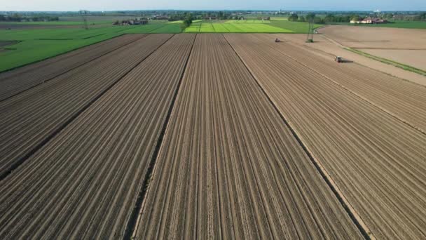 Letecké Záběry Zemědělců Zemědělských Pracovníků Traktoru Poloautomatickém Výsadbě Rajčat Orané — Stock video