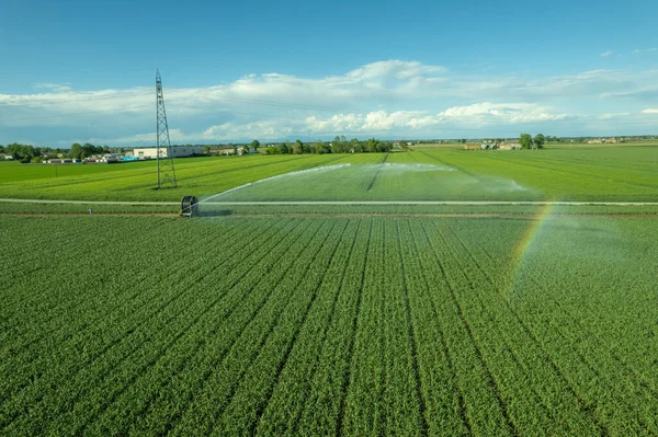 Photographie Aérienne Par Drone Système Irrigation Agricole Avec Une Grande — Photo