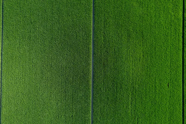 熱い季節に栽培され収穫された田舎の平野の土地の空撮写真 — ストック写真