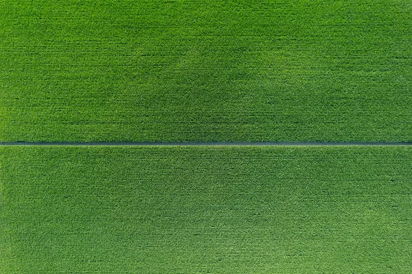 Аэрофотосъемка Смешанных Обрабатываемых Собранных Сельских Равнинных Земель Жаркий Сезон — стоковое фото
