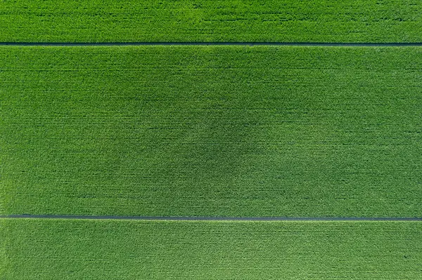 熱い季節に栽培され収穫された田舎の平野の土地の空撮写真 — ストック写真