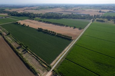 Sıcak mevsimde ekilmiş ve biçilmiş kırsal arazinin havadan çekilmiş fotoğrafı.