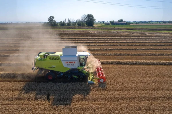 Ernte Ein Goldenes Weizenfeld Staubwolken Luftaufnahme Erntemaschine Füllt Getreidespeicher Reifer — Stockfoto