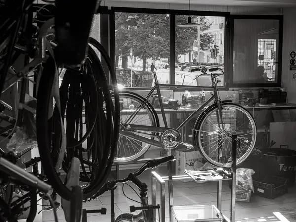 Fahrradgeschäft Geschäft Und Reparatur Handwerker Experte Mechaniker Experte Reparatur Restaurieren — Stockfoto
