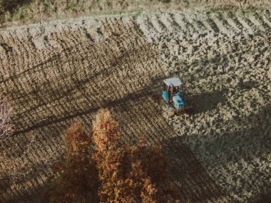 İtalya 'nın Arda Vadisi tepesindeki kurak toprağı sürerek sonbahar mevsiminde buğday tohumu ektim Kasım ayında.