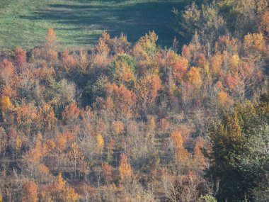Renkli manzara, parkta altın kırmızı ağaçlar, Arda Vadisi sonbahar sezonu, İtalya, Piacenza, Emilia Romagna