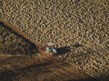 İtalya 'nın Arda Vadisi tepesindeki kurak toprağı sürerek sonbahar mevsiminde buğday tohumu ektim Kasım ayında.