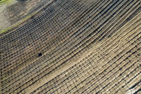 aerial drone photo crawled tractor working through wine yards rows during winter time in Arda Valley high res photo
